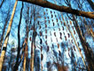Pod-Stallation 3 thumbnail