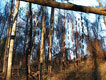 Pod-Stallation 4 thumbnail